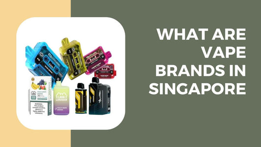 What-are-vape-brands-in-Singapore