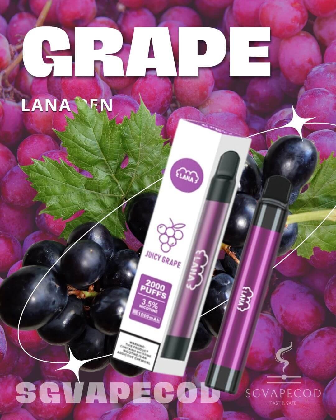 Lana Pen 2000-Grape